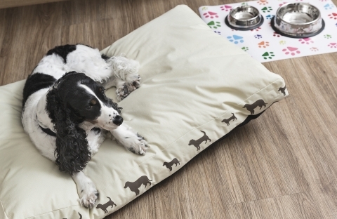 Hotel Pet Firendly 4 stelle a Pordenone